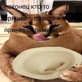 Sticker from Деревня шлёп