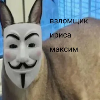 Sticker from Деревня шлёп