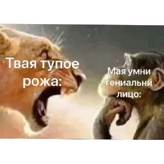 Sticker from БОЛЬШЕ ⇨ @FULLSITION