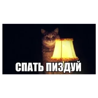 😴 emoji я королева ЧАЯЯЯЯЯ | via sticked.app Telegram sticker 11 of 120