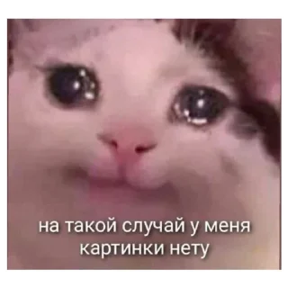 😐 emoji я королева ЧАЯЯЯЯЯ | via sticked.app Telegram sticker 4 of 120