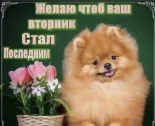 Sticker from меми