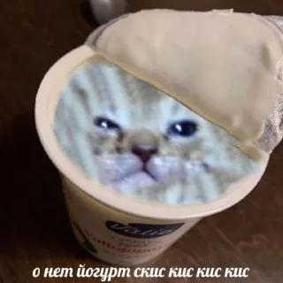 Sticker from Кеты, котяры, шкеты