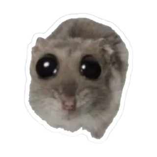 🐱 emoji Чат общения core: Telegram sticker 13 of 116
