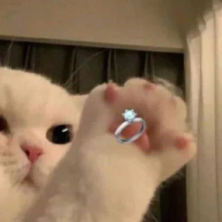 Sticker from 🤝