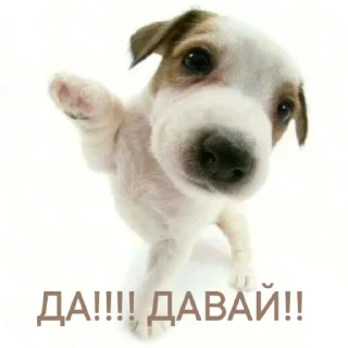 👍 emoji strahi Telegram sticker 22 of 92