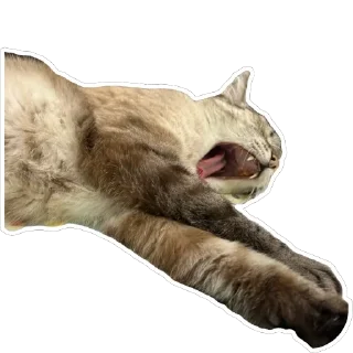 Sticker from Чипулик