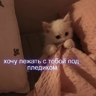 Sticker from Милашк