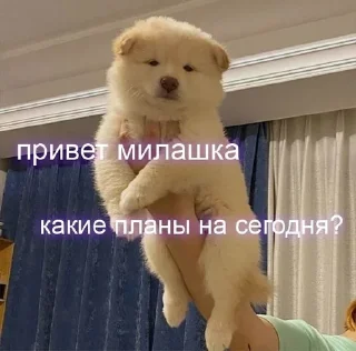 Sticker from Милашк