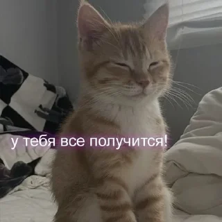 Sticker from Милашк