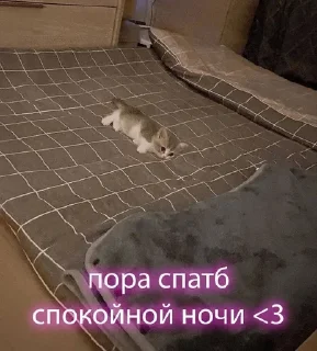Sticker from Милашк