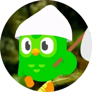 Sticker from duolingo 💚💚
