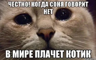 Sticker from Соня