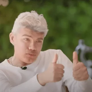 Sticker from Создать мемы 👉 @Stikery_dlya_peregovorovBot