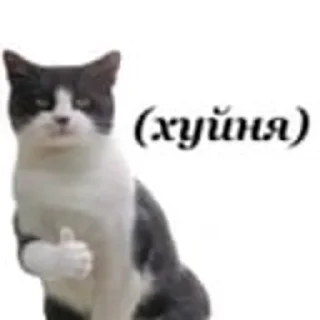 👍 emoji Не придумал название Telegram sticker 10 of 65