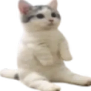 😺 emoji Не придумал название Telegram sticker 18 of 65