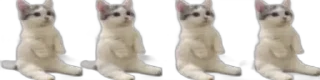 😺 emoji Не придумал название Telegram sticker 2 of 65