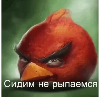 Sticker from Сидим не рыпаемся