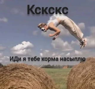 🤩 emoji Заходи в тгк @anti_kvadrobery @MoiStikiBot Telegram sticker 9 of 13