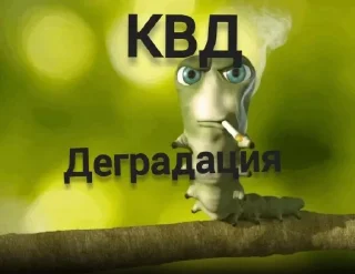 🤩 emoji Заходи в тгк @anti_kvadrobery @MoiStikiBot Telegram sticker 6 of 13