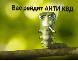 🤩 emoji Заходи в тгк @anti_kvadrobery @MoiStikiBot Telegram sticker 7 of 13
