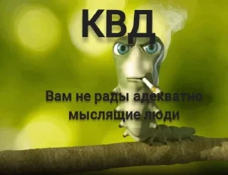 🤩 emoji Заходи в тгк @anti_kvadrobery @MoiStikiBot Telegram sticker 5 of 13
