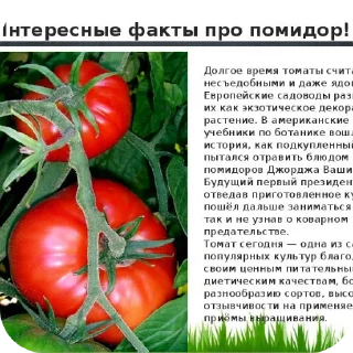 🍅 emoji Шкебед доп доп • @sticbot Telegram sticker 7 of 87