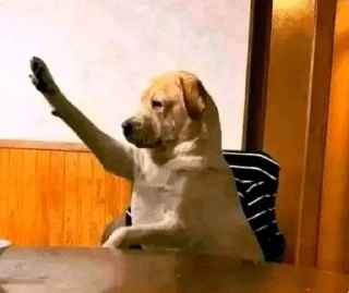 🌟 emoji tiktok fav by かえる Telegram sticker 23 of 120