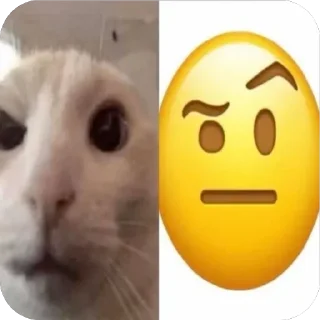 🤨 emoji dappeks Telegram sticker 13 of 120