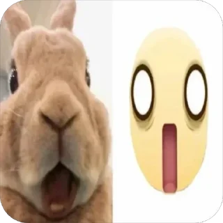 😳 emoji dappeks Telegram sticker 7 of 120