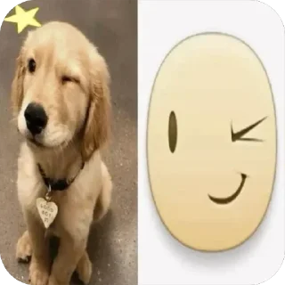 😉 emoji dappeks Telegram sticker 9 of 120