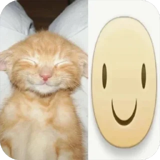 🙂 emoji dappeks Telegram sticker 10 of 120