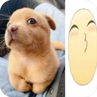 😚 emoji dappeks Telegram sticker 8 of 120