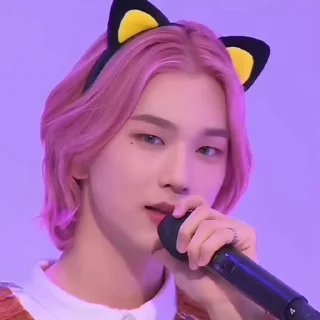 🐾 emoji baekseung @whiplashstk Telegram sticker 18 of 40