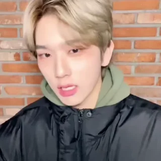 🐾 emoji baekseung @whiplashstk Telegram sticker 10 of 40