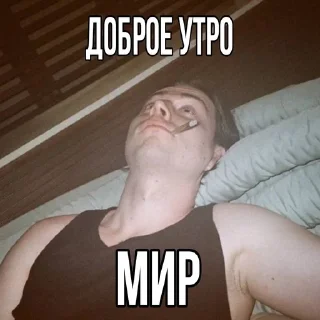 🌟 emoji фраметамер – моя жизнь Telegram sticker 15 of 27