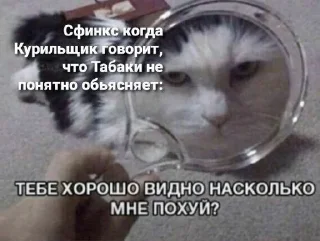 Sticker from Дом, в котором живут мемы