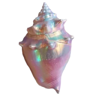 🐚 emoji То моє море Telegram sticker 5 of 50