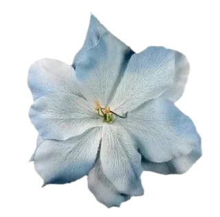 🪷 emoji То моє море Telegram sticker 9 of 50