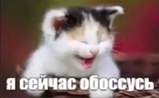 🩹 emoji Марамусик Telegram sticker 16 of 120