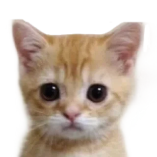 Sticker from ещё стики - @maudview