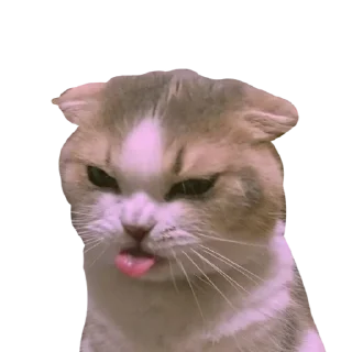Sticker from ещё стики - @maudview