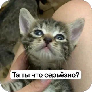 Sticker from Хуита