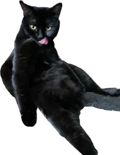 Sticker from Чёрный