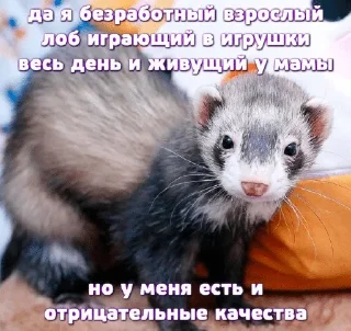 Sticker from Больше хорьков богу хорьков