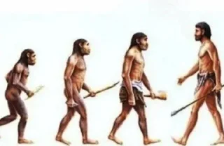 😂 emoji Darwinism🐒 @Ctikerubot Telegram sticker 17 of 30