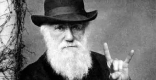 😂 emoji Darwinism🐒 @Ctikerubot Telegram sticker 22 of 30