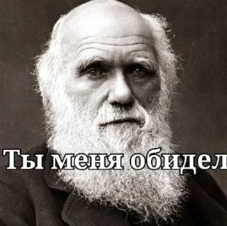 😂 emoji Darwinism🐒 @Ctikerubot Telegram sticker 6 of 30