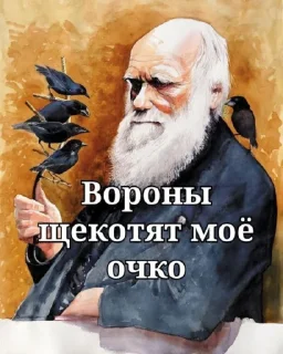 😂 emoji Darwinism🐒 @Ctikerubot Telegram sticker 13 of 30