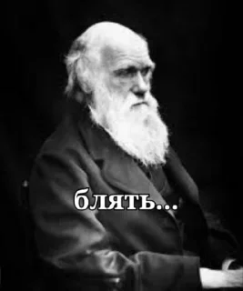 😂 emoji Darwinism🐒 @Ctikerubot Telegram sticker 9 of 30